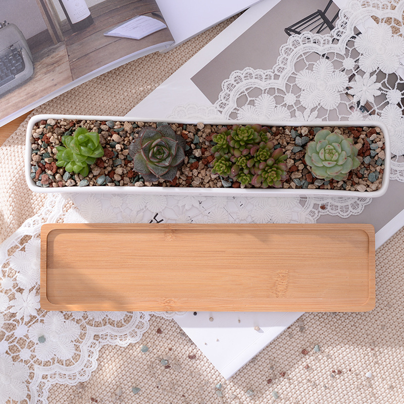 1 Bộ Tối Giản Hình Học Gốm Sứ  - đánh giá và giá Desk Setup Green