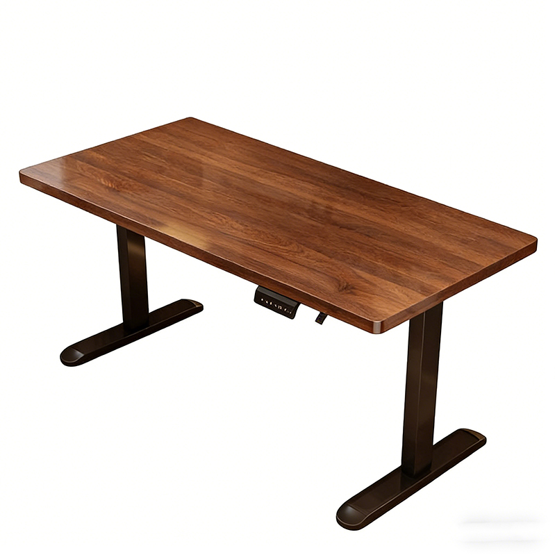Modern Iron Dual Motor Electri - đánh giá và giá Desk Setup For Office