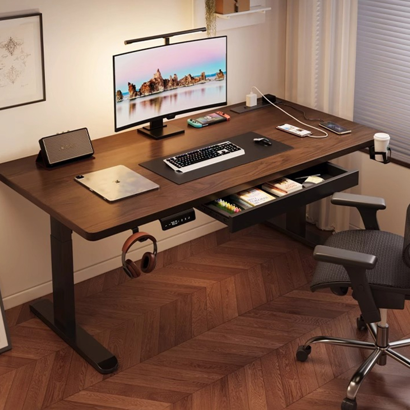 Modern Iron Dual Motor Electri - đánh giá và giá Desk Setup For Office