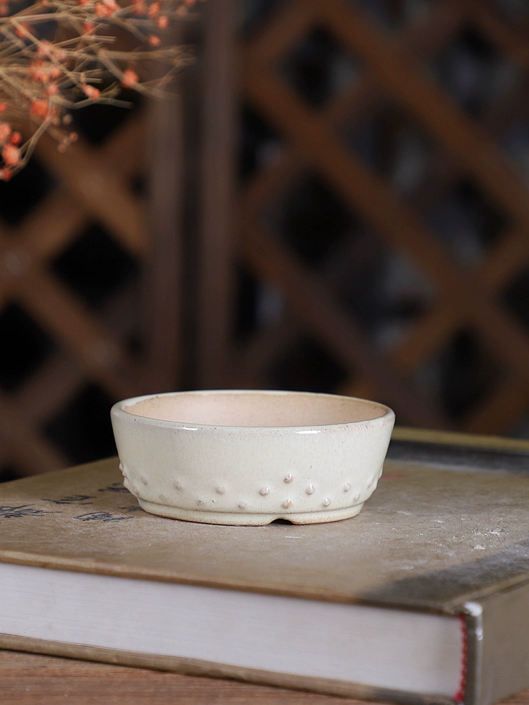 Porcelain Round Glazed Bonsai  - đánh giá và giá Desk Setup Green