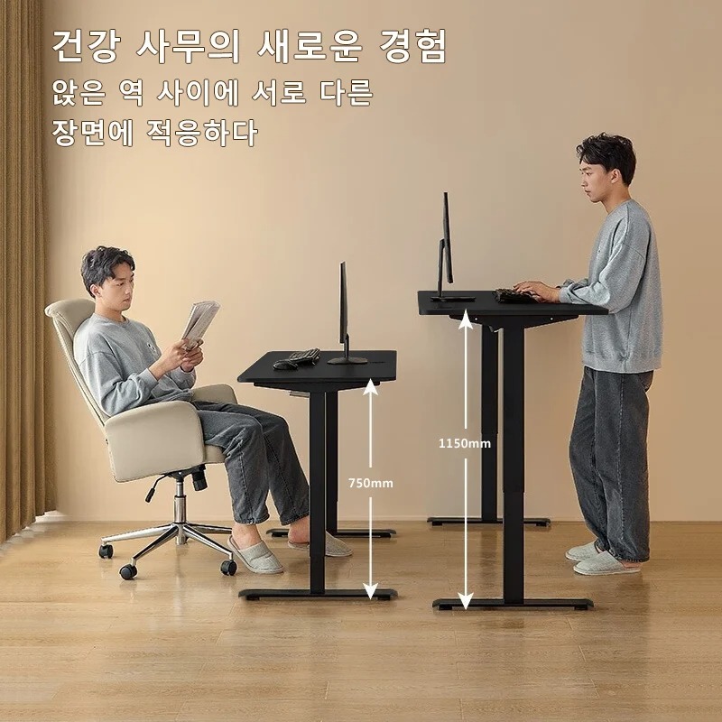 Height Adjustable Desk Motion  - đánh giá và giá Desk Setup Computer