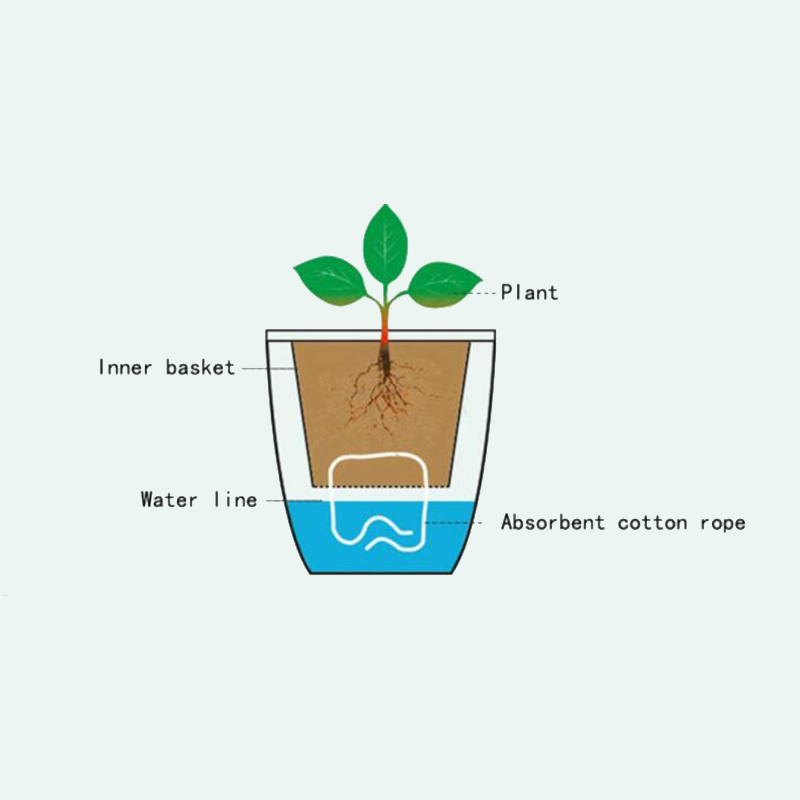 Lazy Flower Automatic Pot Flow - đánh giá và giá Desk Setup Green