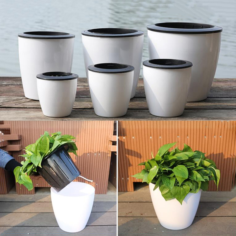 Lazy Flower Automatic Pot Flow - đánh giá và giá Desk Setup Green